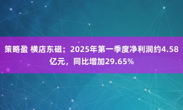 策略盈 横店东磁：2025年第一季度净利润约4.58亿元，同比增加29.65%