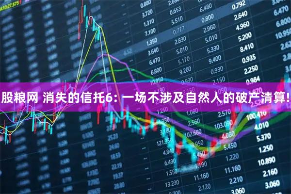 股粮网 消失的信托6: 一场不涉及自然人的破产清算!