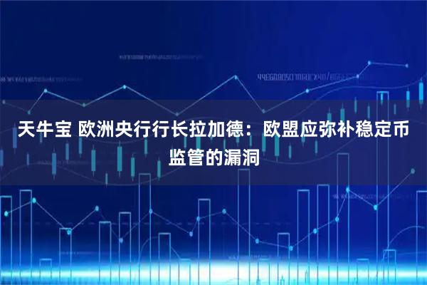 天牛宝 欧洲央行行长拉加德：欧盟应弥补稳定币监管的漏洞